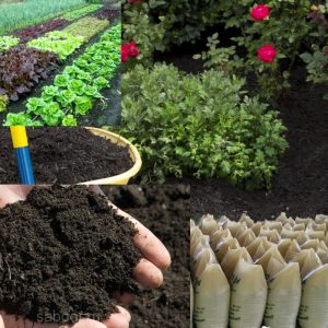Compost